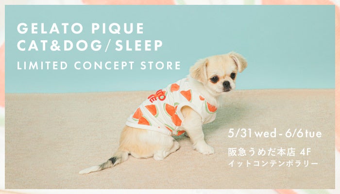 GELATO PIQUE 犬イラスト Tシャツ グレー Lサイズ（SLEEPING DOG