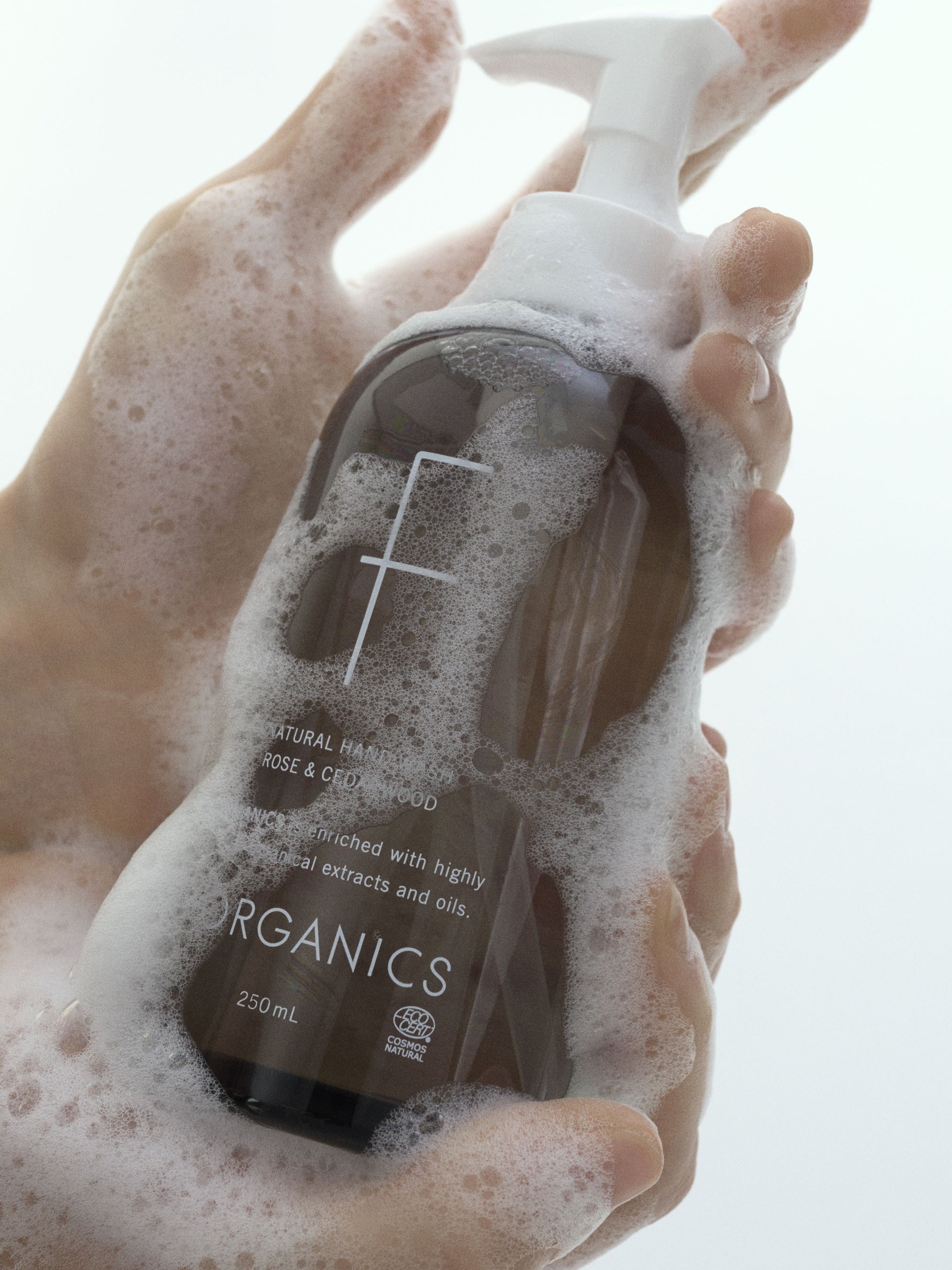 フレッシュエッセンス F ORGANICS】ナチュラルハンドウォッシュN レモングラス