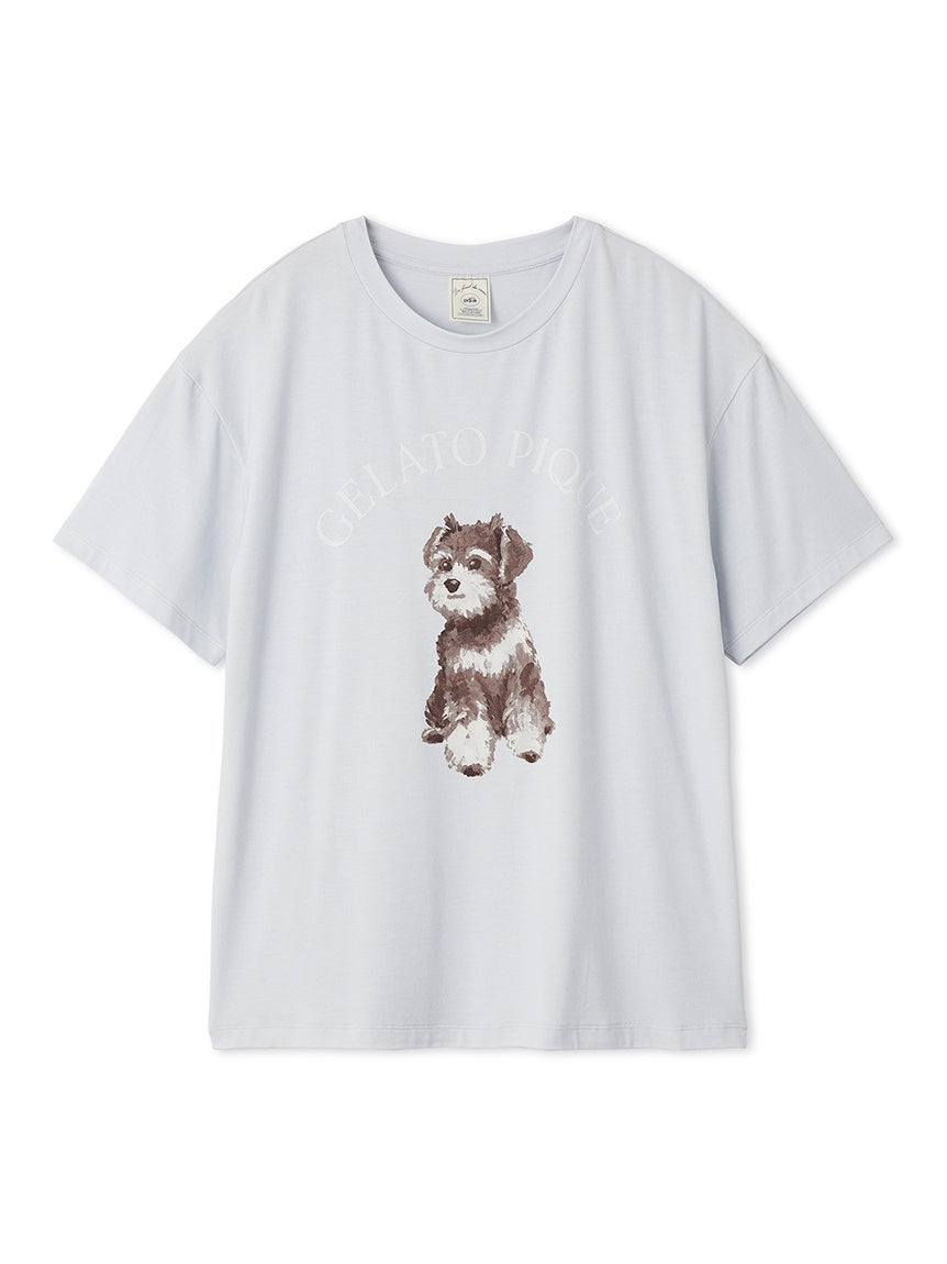 匿名配送 ジェラートピケ gelato pique 柴犬 ブランケット グレー Amazon｜ジェラピケ 柴犬 ブランケット グレー 京都 広島 仙台