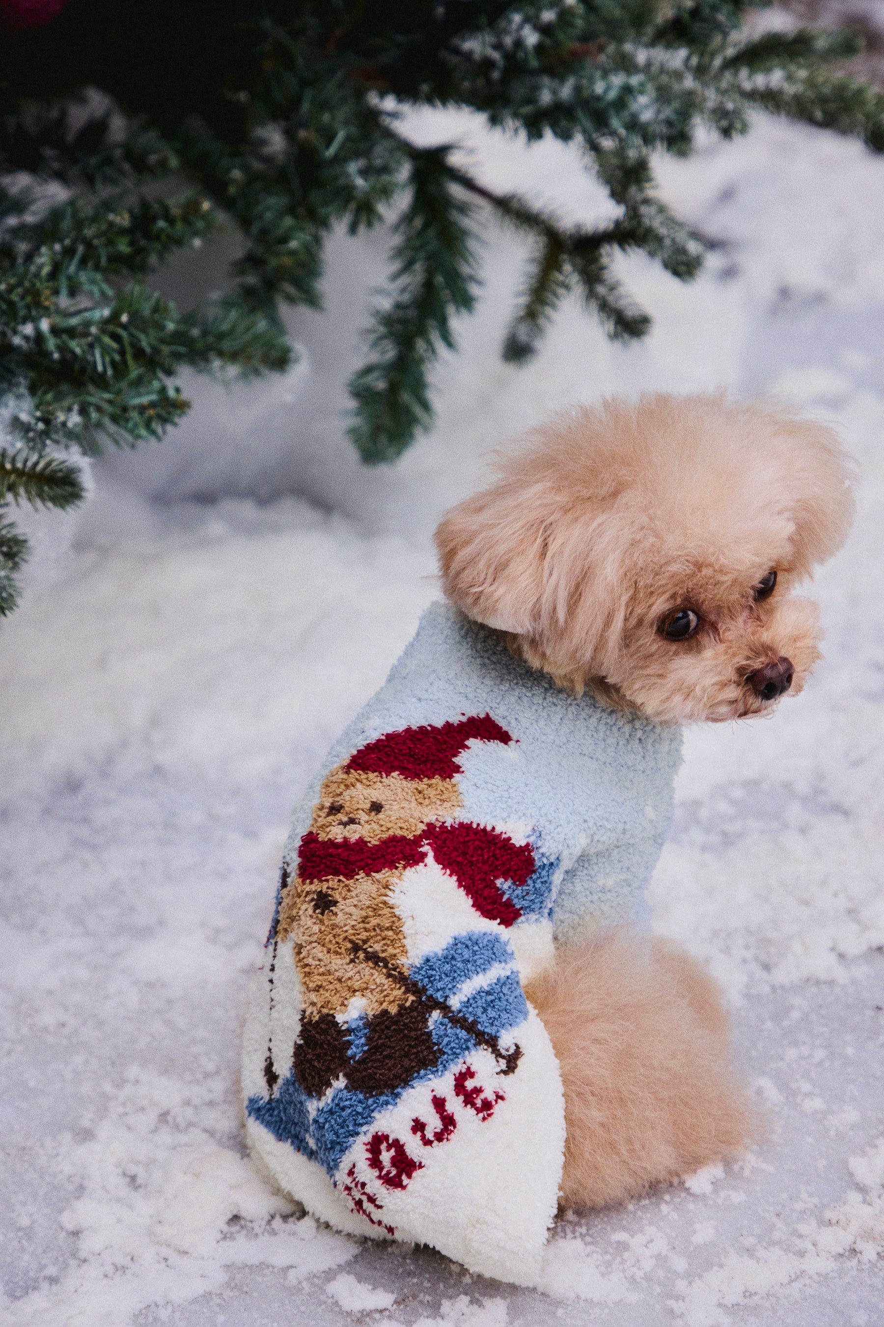 ジェラートピケ 2022 ホリデー くま ジェラートピケ 2022ホリデーベア ぬいぐるみ くま gelato piqué