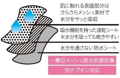 吸水サニタリーショーツ（昼用）説明