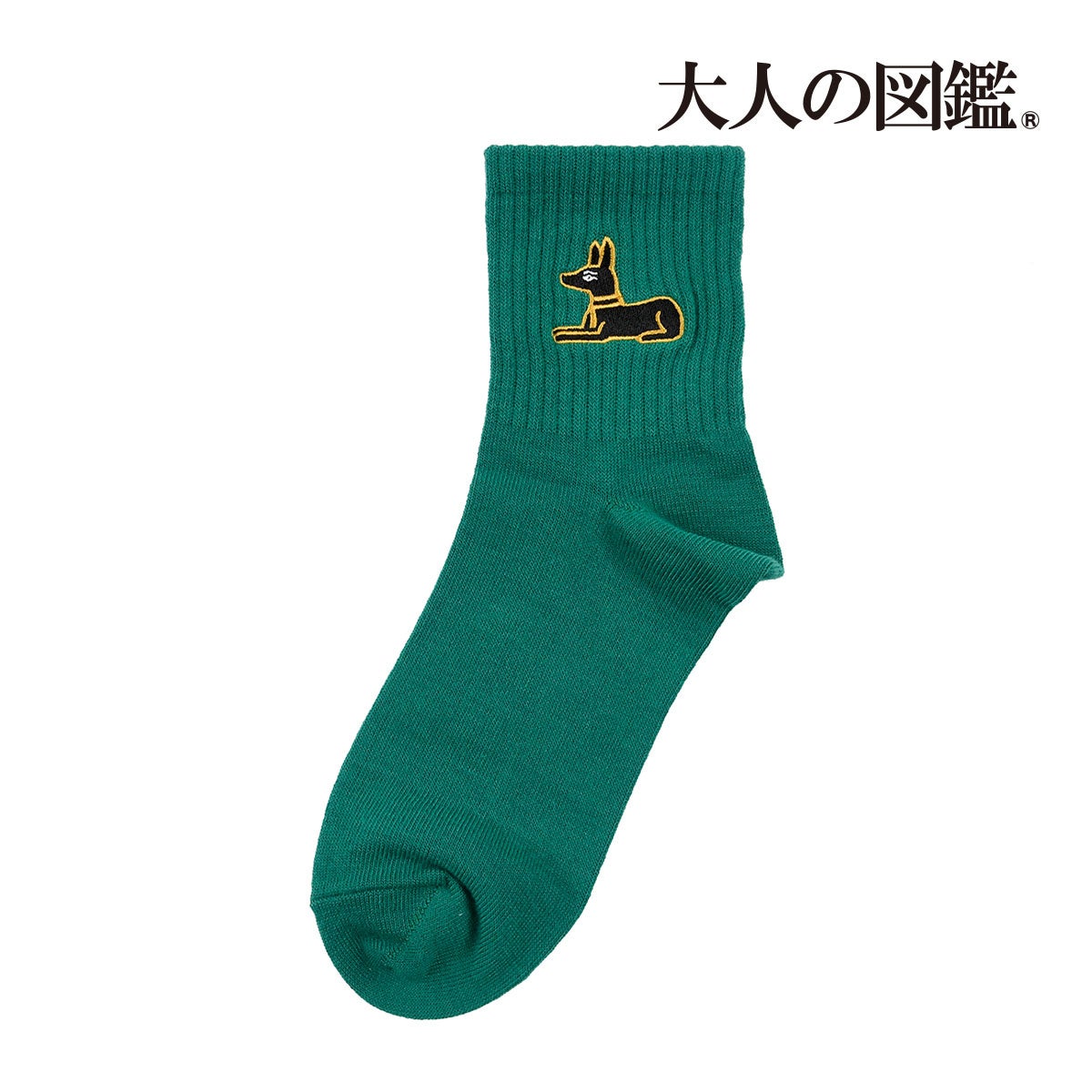 図鑑風デザインシールで話題の『大人の図鑑®』の靴下を販売