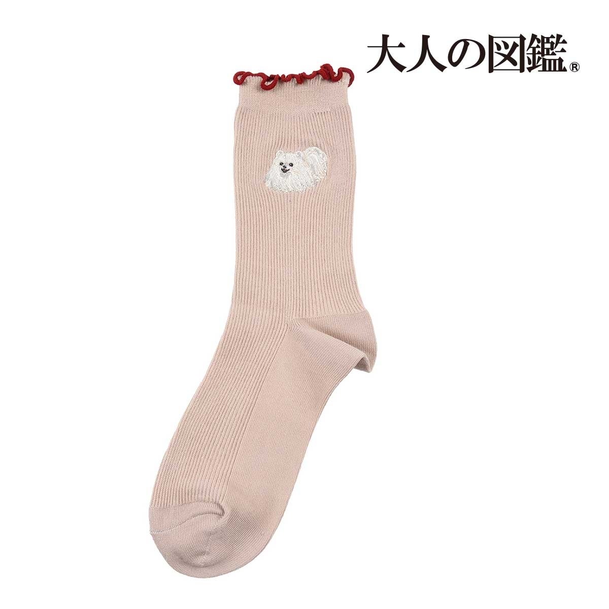 図鑑風デザインシールで話題の『大人の図鑑®』の靴下を販売