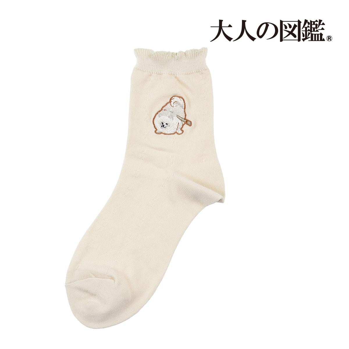 図鑑風デザインシールで話題の『大人の図鑑®』の靴下を販売