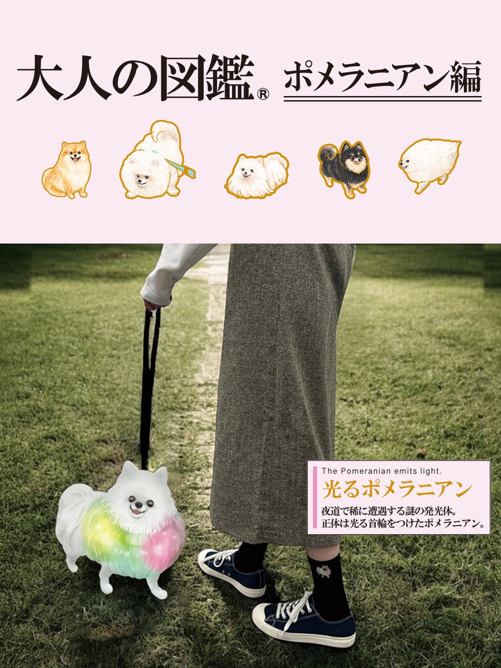 図鑑風デザインシールで話題の『大人の図鑑®』の靴下を販売