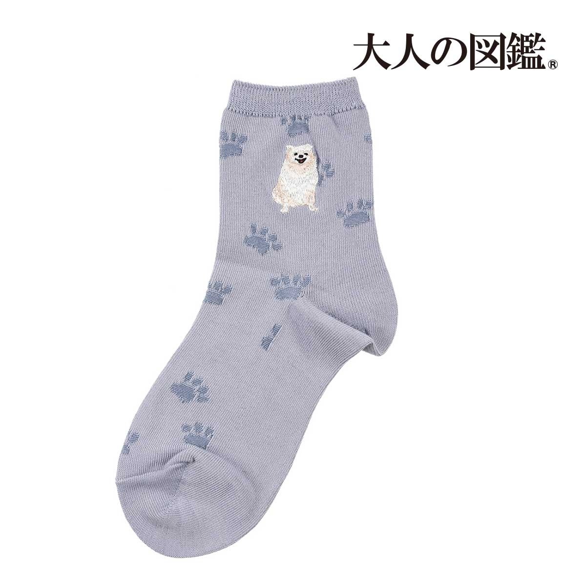 図鑑風デザインシールで話題の『大人の図鑑®』の靴下を販売