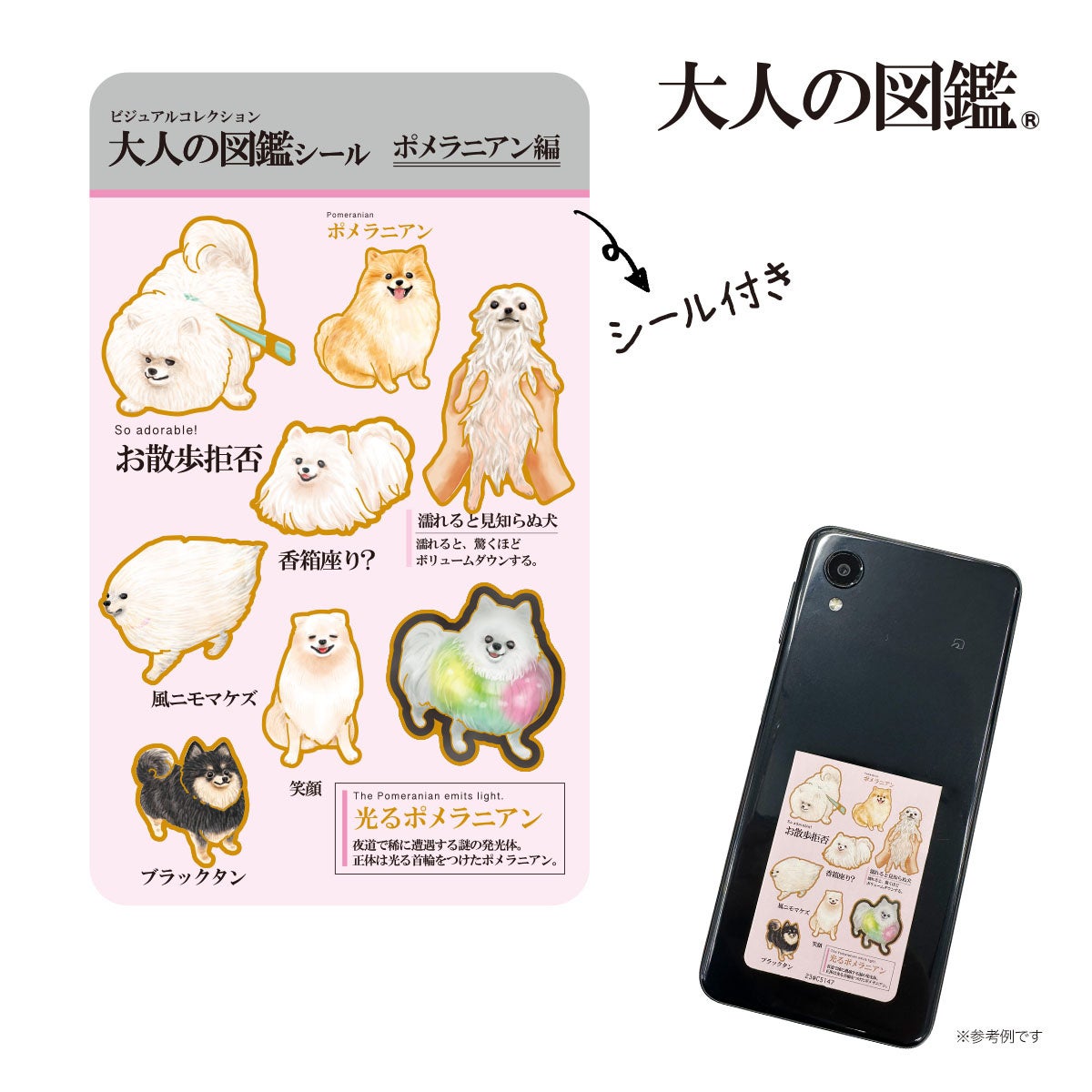 図鑑風デザインシールで話題の『大人の図鑑®』の靴下を販売