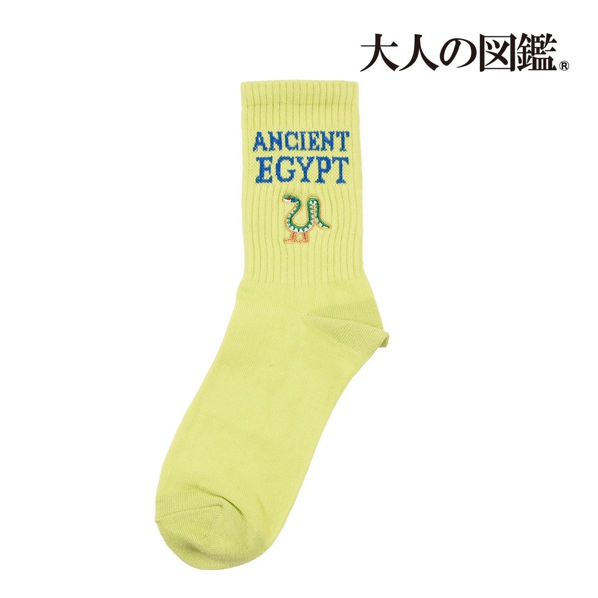 図鑑風デザインシールで話題の『大人の図鑑®』の靴下を販売