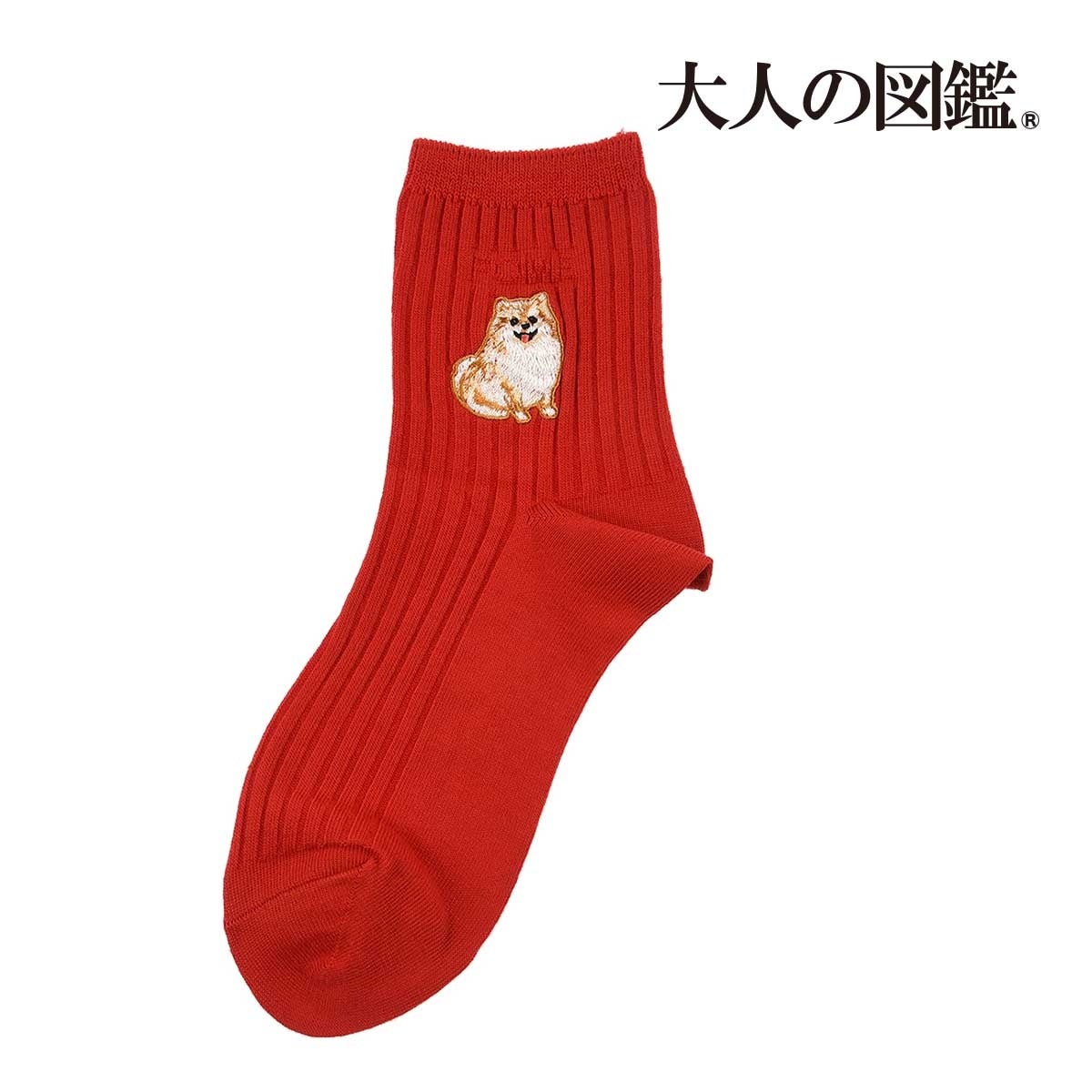 図鑑風デザインシールで話題の『大人の図鑑®』の靴下を販売
