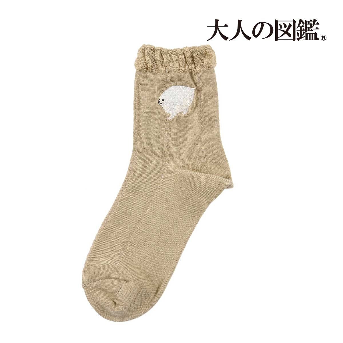 図鑑風デザインシールで話題の『大人の図鑑®』の靴下を販売