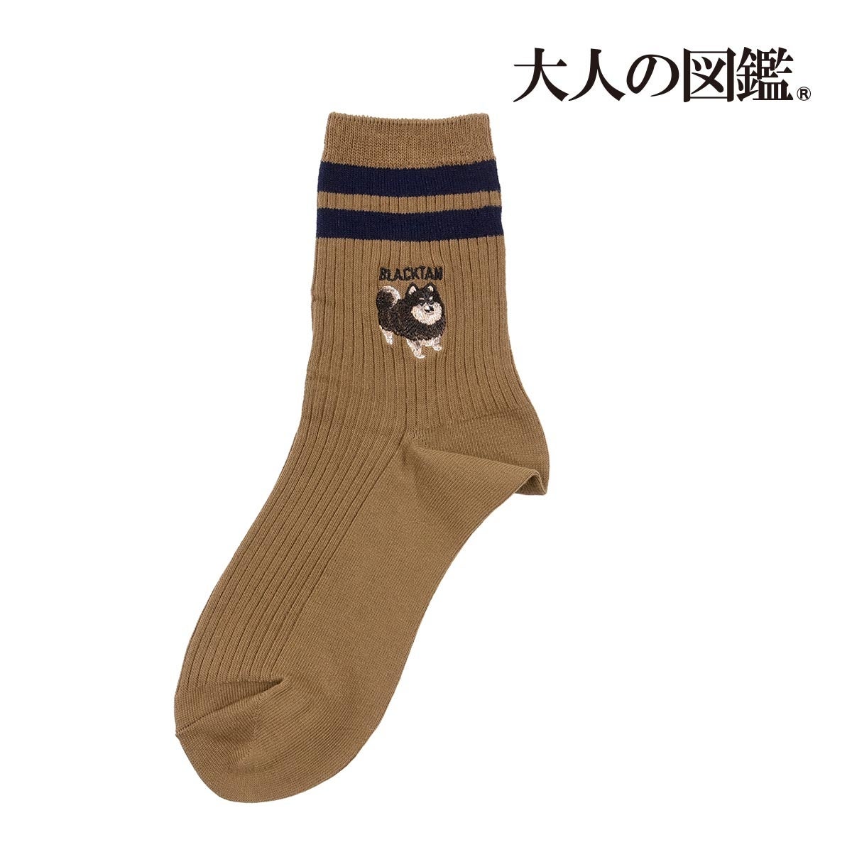 図鑑風デザインシールで話題の『大人の図鑑®』の靴下を販売