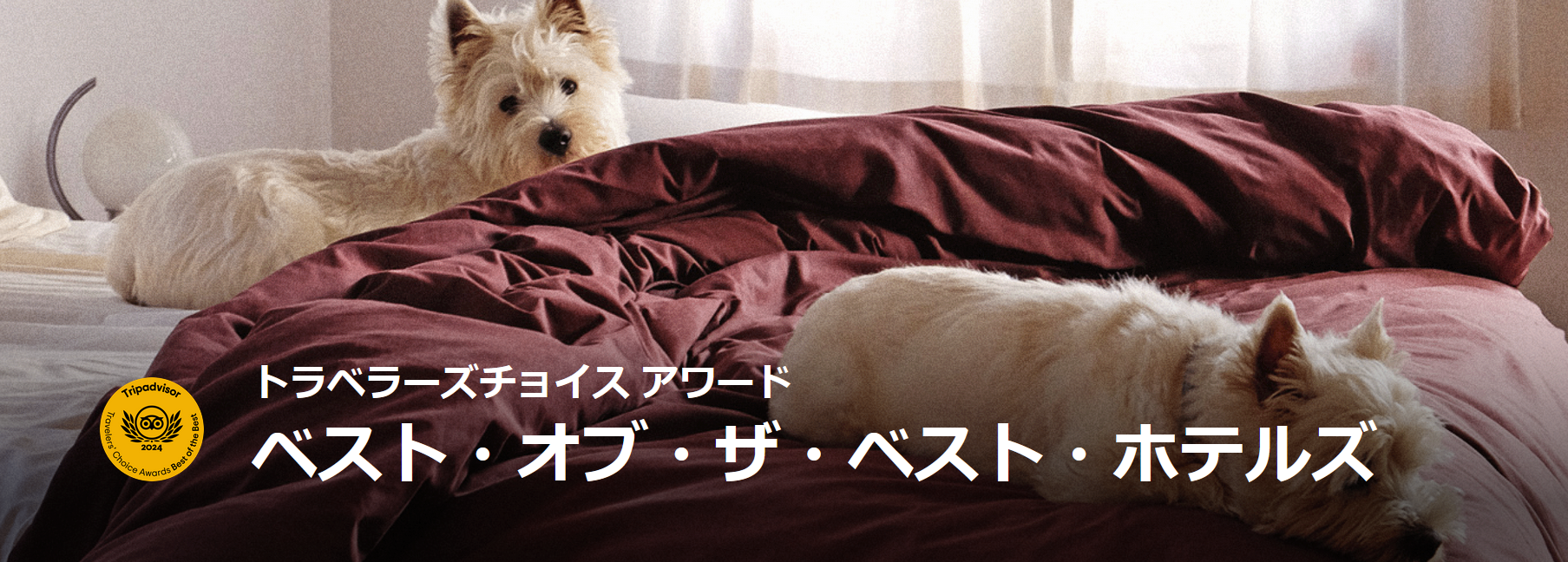 トリップアドバイザー 2024 ベスト・オブ・ザ・ベスト ホテル