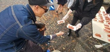 「マグロの聖地」清水港で『清水港マグロまつり2026』11月7日・8日開催 マイナス60℃の冷蔵庫体験など親子で楽しめる企画も