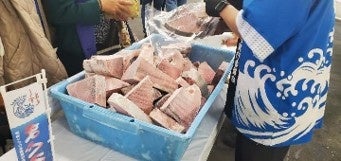 「マグロの聖地」清水港で『清水港マグロまつり2026』11月7日・8日開催 マイナス60℃の冷蔵庫体験など親子で楽しめる企画も