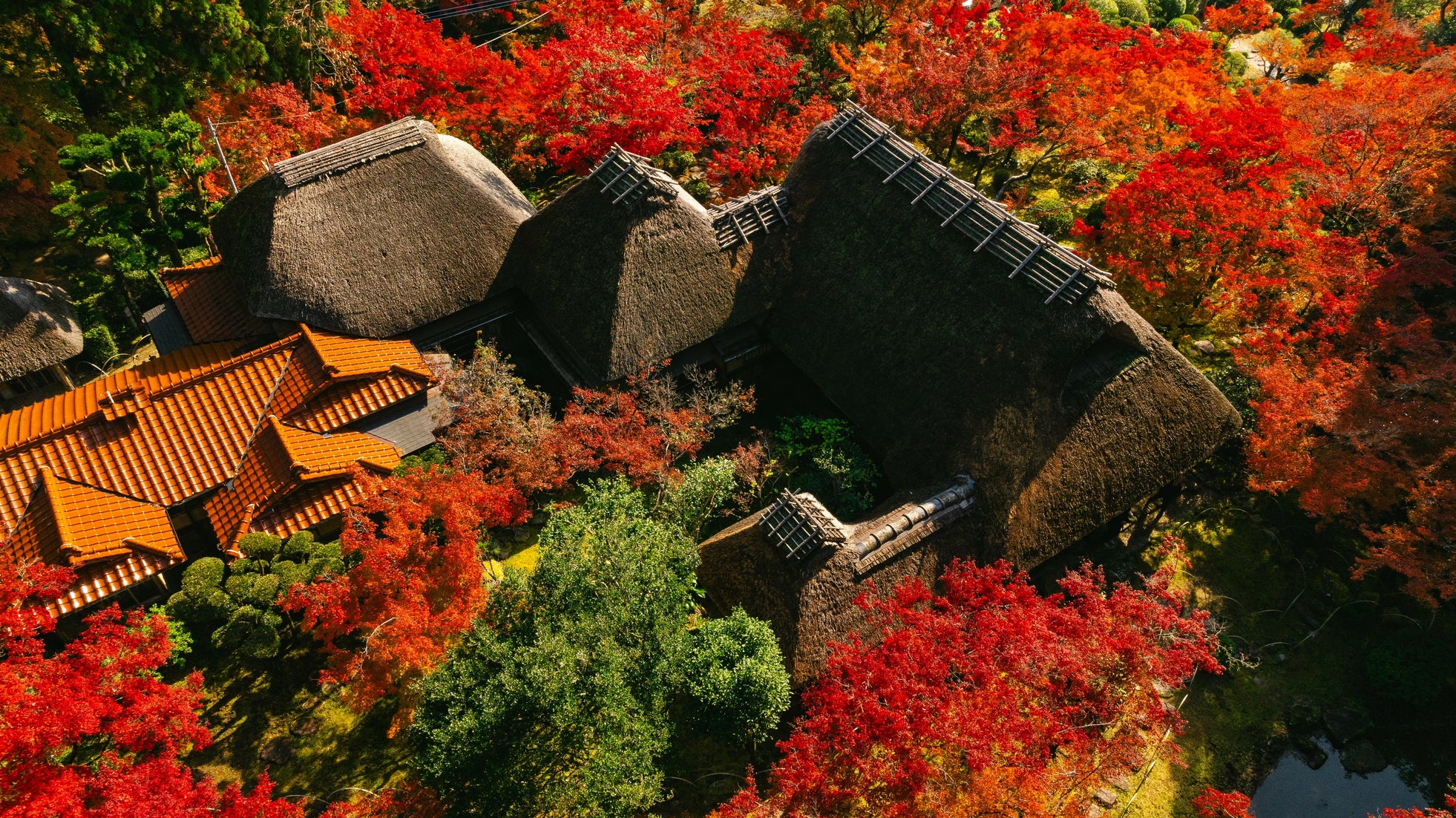 【佐賀県】 “受け継がれる美。語り継がれる秋。” 国の名勝 「九年庵」 秋の一般公開を開催します