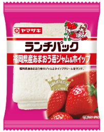 観覧者特典のランチパック