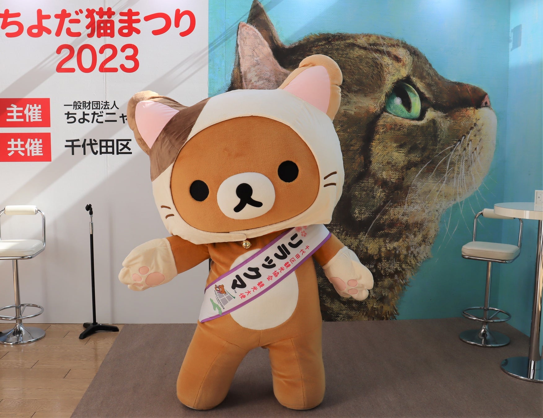 猫の衣装を着たリラックマ