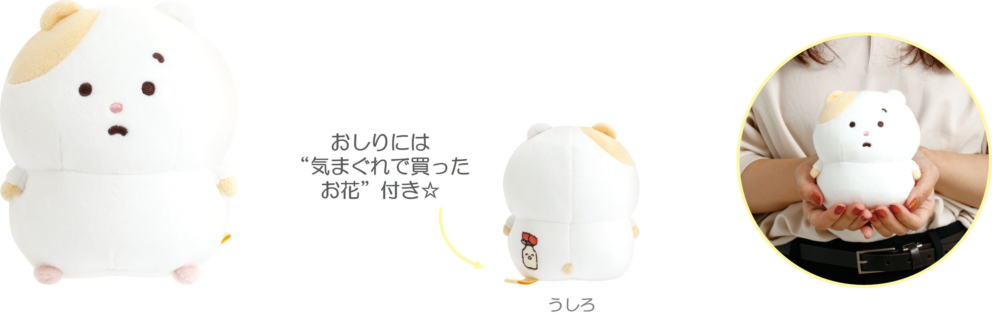 新キャラクター「まいにちはむちま」が“サンエックスのコ企画