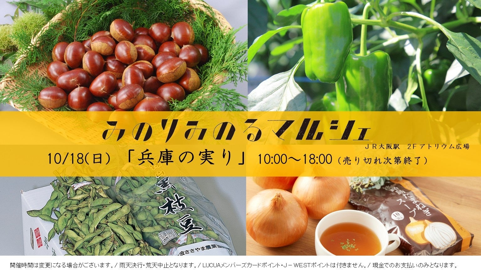 【株式会社LacuS】高齢者向け完全栄養アイス「Me ICE」が2026年度グッドデザイン賞を受賞