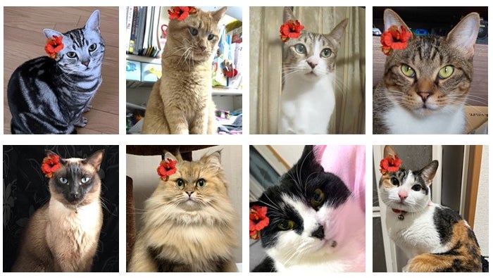 初代フラニャール(抜粋)