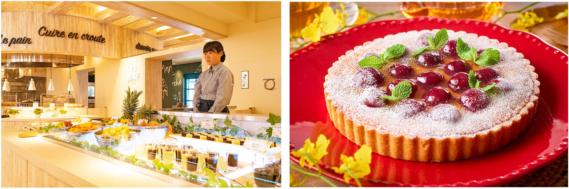 大江戸温泉物語 2つの温泉リゾートホテル Taoya志摩 三重県鳥羽市 と 西海橋コラソンホテル 長崎県佐世保 市 へオールインクルーシブならでは のんびりステイと秋のまんぞくバイキングを楽しむ旅へ 大江戸温泉物語ホテルズ リゾーツ株式会社のプレスリリース 大江戸温泉物語 2つの温泉リゾートホテル Taoya志摩 三重県鳥羽市 と 西海橋コラソンホテル 長崎県佐世保 市 へオールインクルーシブならでは のんびりステイと秋のまんぞくバイキングを楽しむ旅へ 大江戸温泉物語ホテルズ リゾーツ株式会社のプレスリリース