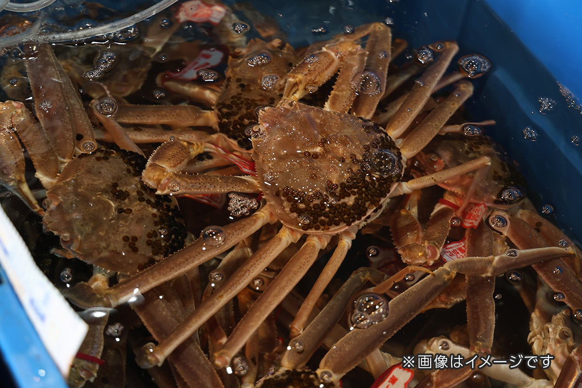 全国の料理人の創意工夫が集結しオリジナリティあふれる逸品が誕生 東急リゾーツ&ステイ社内レシピコンクール「ごちそうレシピ 2026 」開催