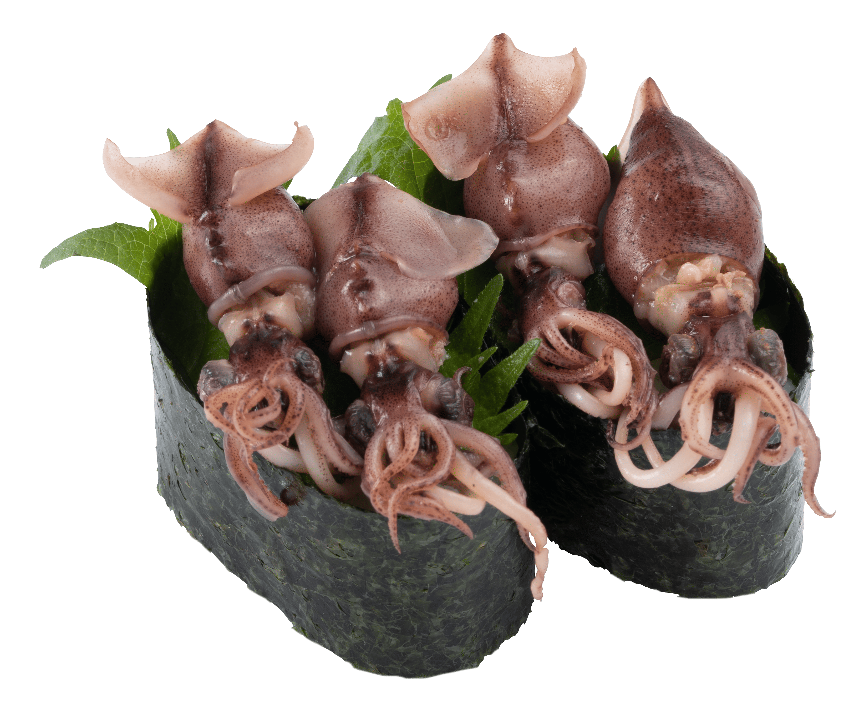 『兵庫県産 釜揚げホタル烏賊』