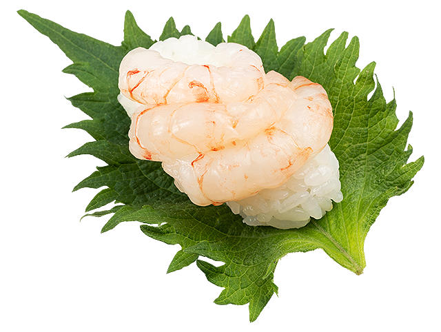 『北海道産 ぼたん海老』