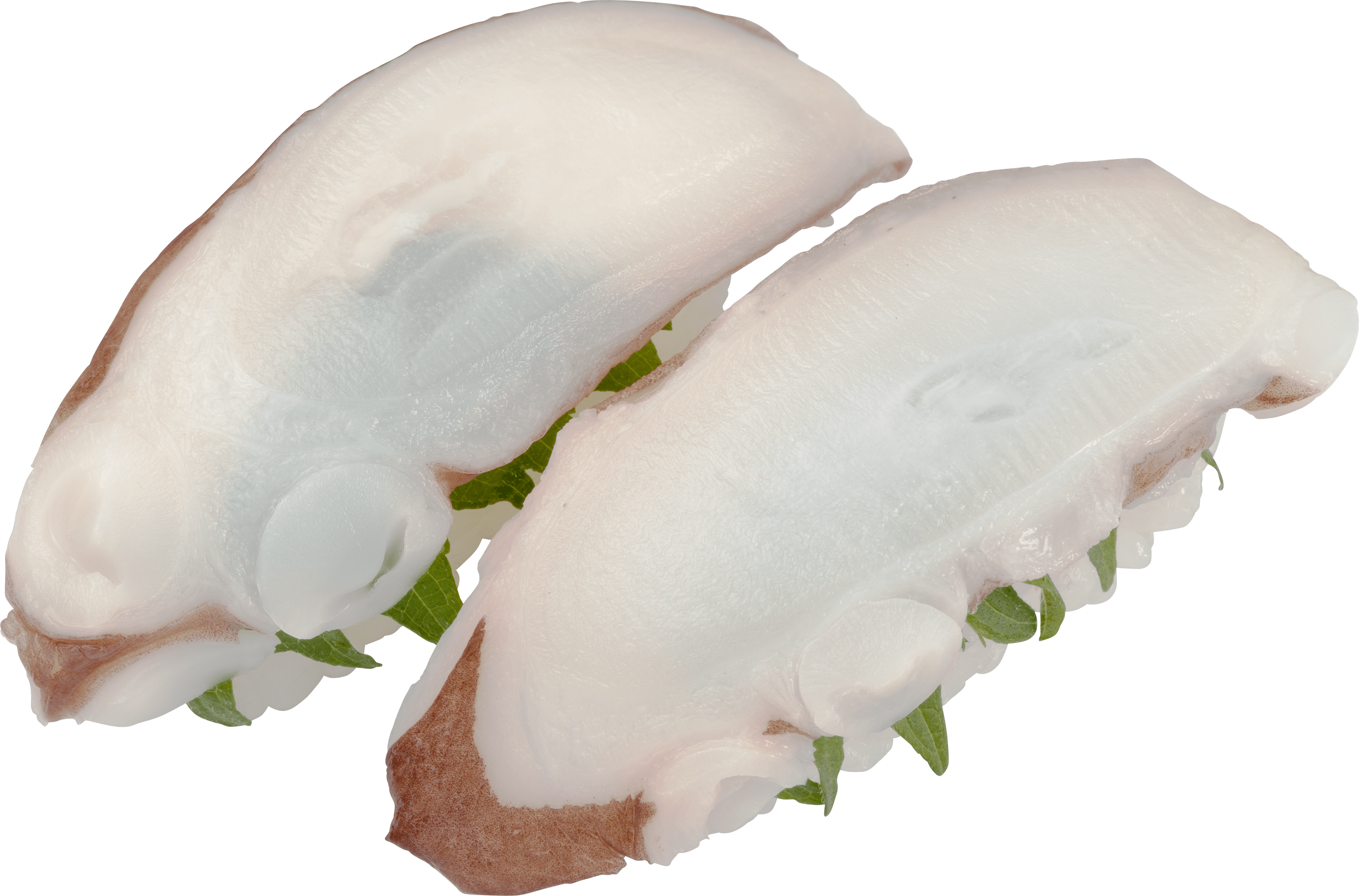 『北海道産 天然水たこ』