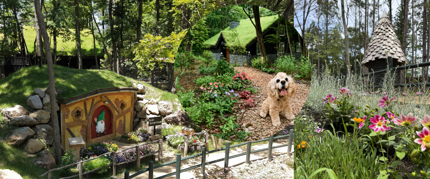 【那須高原】絵本の世界へ愛犬と迷い込む？北欧ファンタジー施設「ドワーフの村」、2026年9月21日(月)より「庭園エリアの愛犬散策」を解禁！