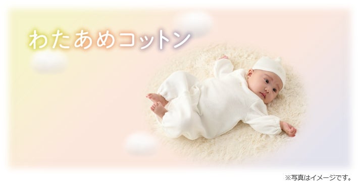 【抜群の存在感】bottegaveneta チェーン付きイワシの赤ちゃん 赤ちゃんが安心して泣きやむようなやわらかさ」そんな商品を