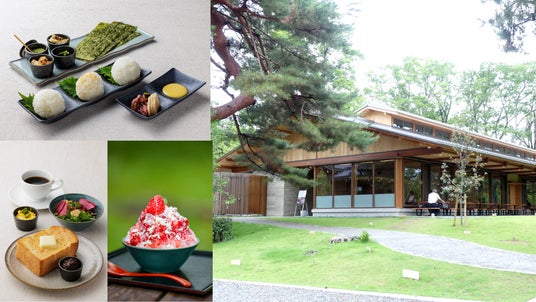 『京都御苑 中立売御門 檜垣』、7月1日より朝食メニュー提供開始 『京都御苑 中立売御門 檜垣』、7月1日より朝食メニュー提供開始