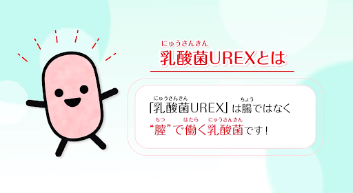 画像：動画イメージ