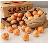 「北海道産 玉ねぎ 10kg Lサイズ」 1箱 約45玉