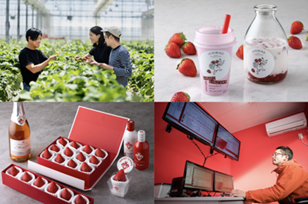 写真 左上：GRAの農園、左下：ミガキイチゴ、右上：いちびこ、右下：環境制御室