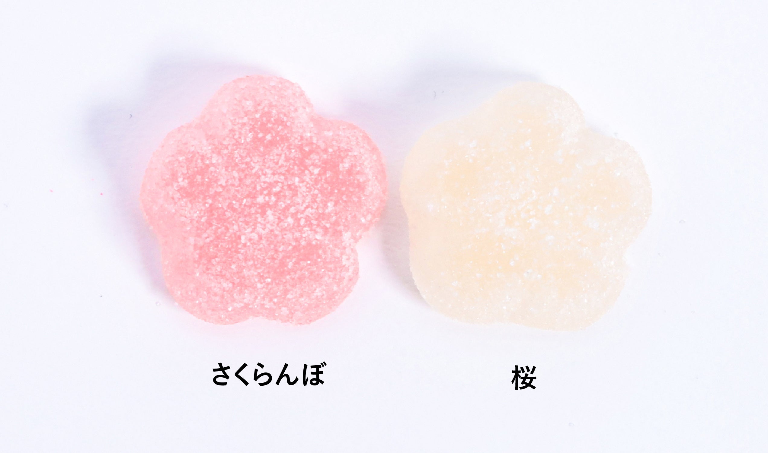 おめでたいお祝いに！ 版画　祝福　2016 1991年 入学おめでとう！ レコードセット｜ふろくライブラリー