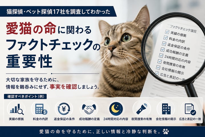 猫探偵17社調査から判明した愛猫捜索依頼時のファクトチェック重要性