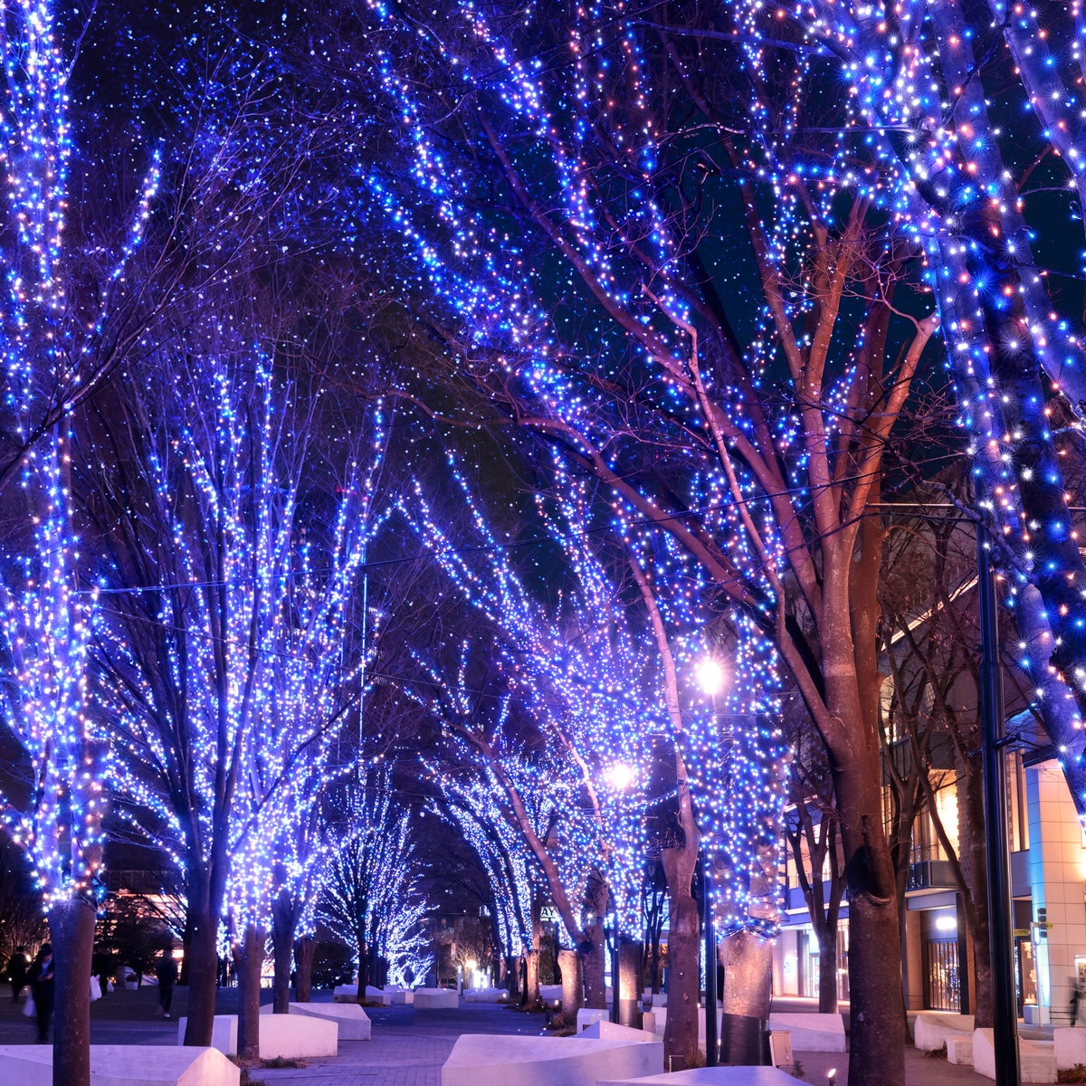 光の横浜を巡る冬へ。「THE YOKOHAMA ILLUMINATION」が11月から開催決定