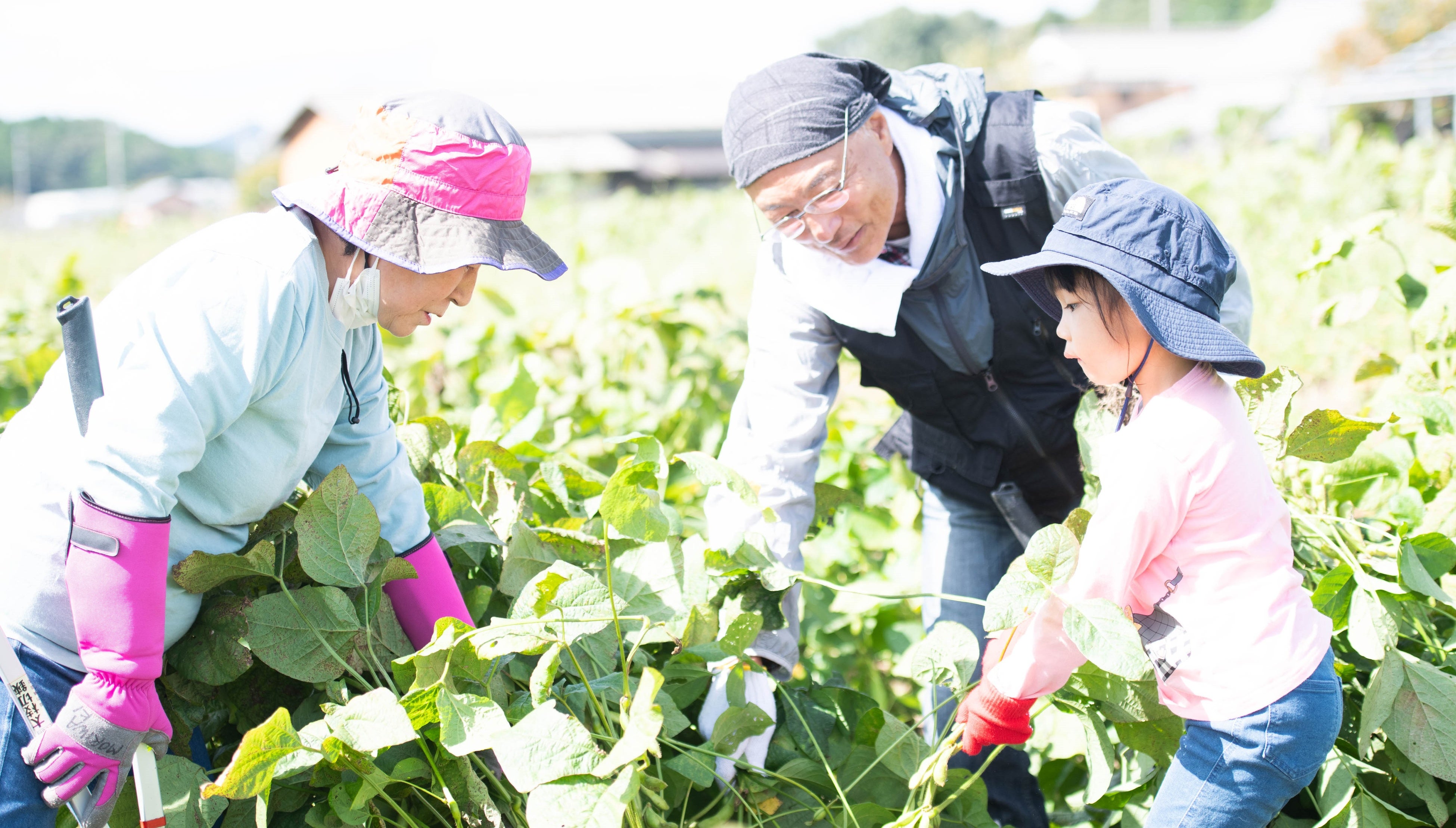 【ひょうごフィールドパビリオン】​“食欲の秋” “芸術の秋”におすすめ！「丹波エリア」で旬の食材や陶芸体験​