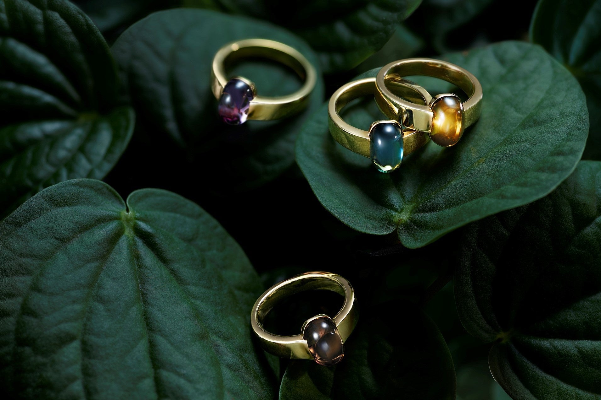 美しくうまれかわる朝露のように、毎日に新鮮な輝きを ジュエリー