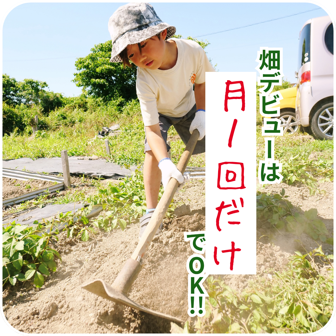 【法人も月1畑】福祉施設向け法人プランを11月より開始！ふらっと通って収穫できる「体験農園HATA-STEP」が一宮農園を大幅拡張