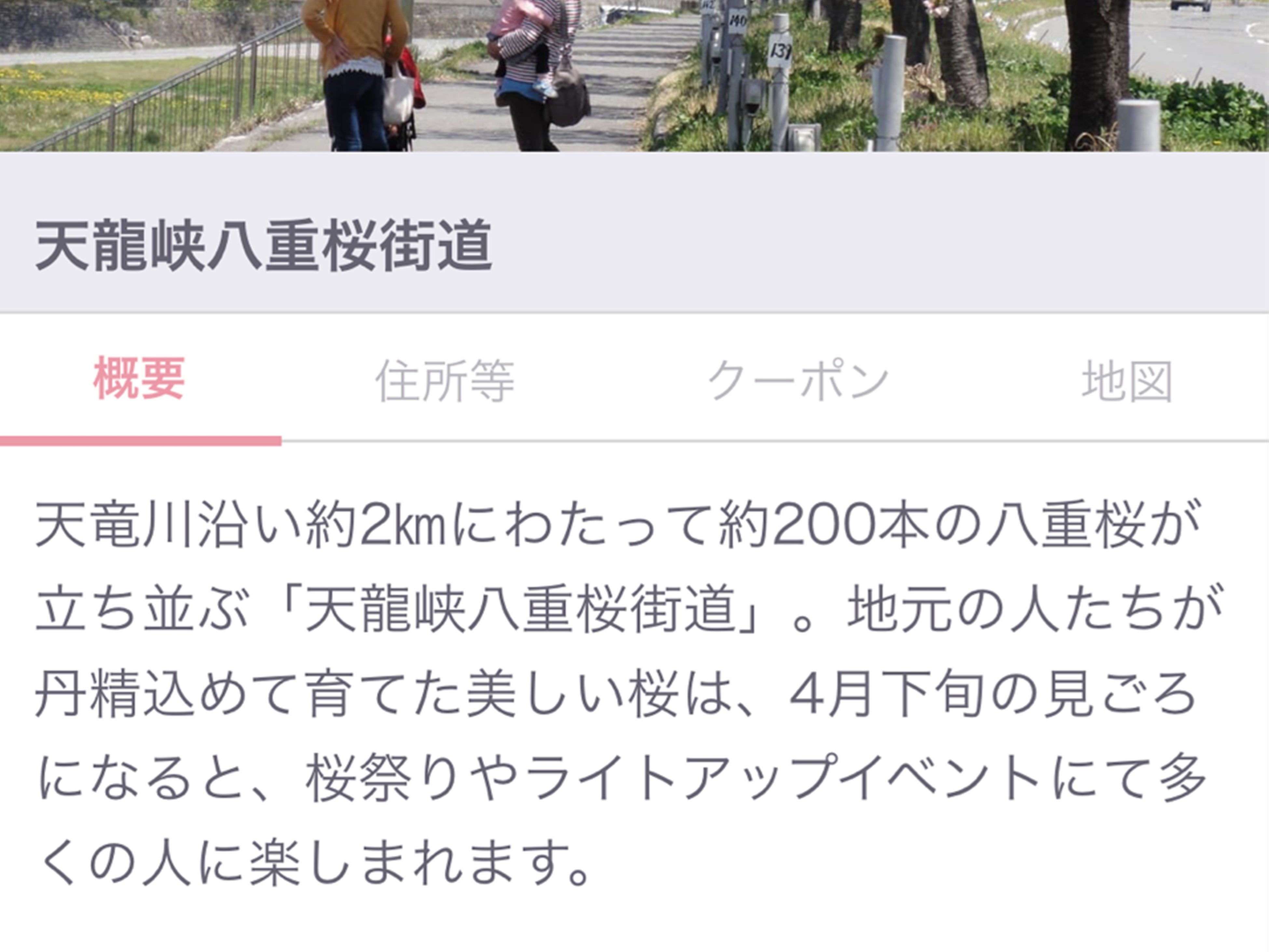 観光地詳細一例