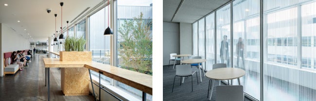 外からの光が差し込むワークスペース