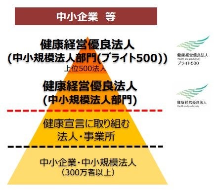 ブライト500について(図)