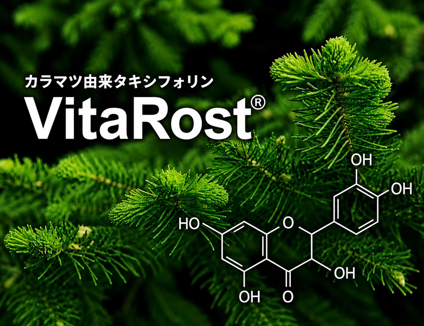 【東北大学大学院農学研究科 動物食品機能学分野との共同研究】三旺コーポレーション、タキシフォリンの「選択的抗菌作用」を確認！国際学術誌に論文掲載