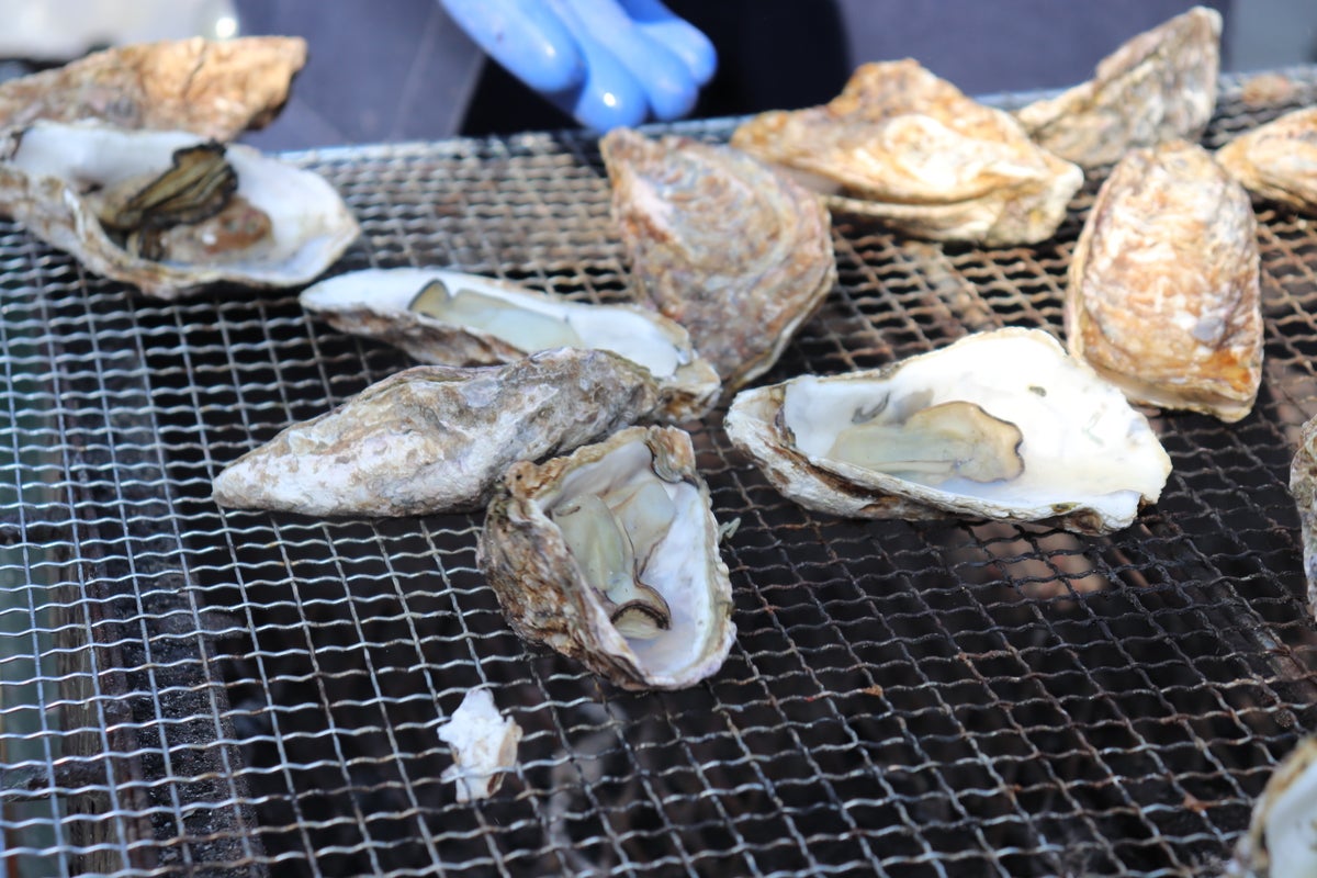 瀬戸内の魚と備後のワインが福山に集結 「第9回 備後フィッシュ&備後福山ワインフェス2026」11月3日開催