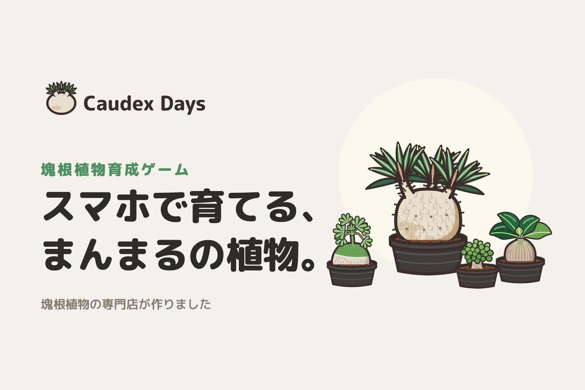 スマホで塊根植物を育成!基本無料の育成ゲーム「Caudex Days」登場 スマホで塊根植物を育成!基本無料の育成ゲーム「Caudex Days」登場