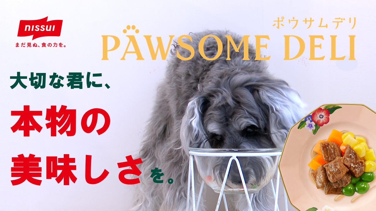 獣医師監修の愛犬用冷凍ペットフード「PAWSOME DELI(ポウサムデリ 獣医師監修の愛犬用冷凍ペットフード「PAWSOME DELI(ポウサムデリ