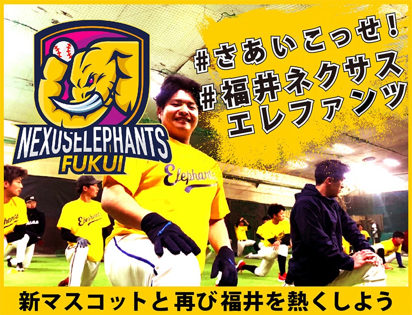 【実使用】福井ミラクルエレファンツ ユニフォーム 新ユニフォーム発表？！！！ - ＝象印日記＝ 福井ミラクル
