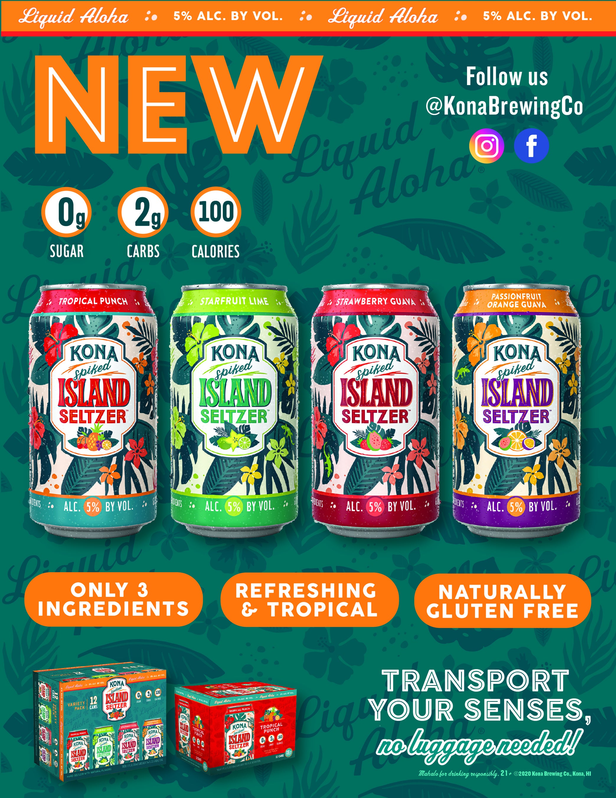 コナアイランドセルツァー　フライヤー